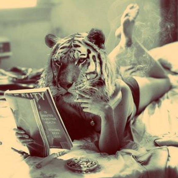 Meet your Posher, Meredith - Picture 1 of 1